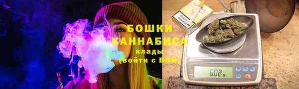 прущие крисы Белокуриха