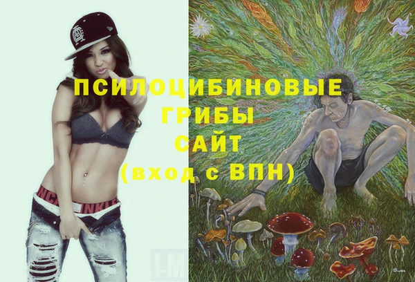 а пвп мука Богородск