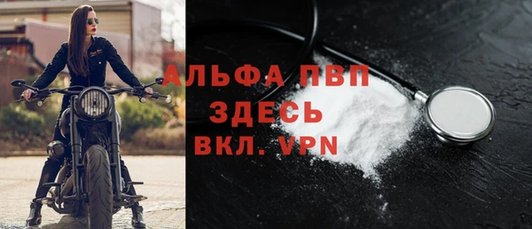прущие крисы Белокуриха